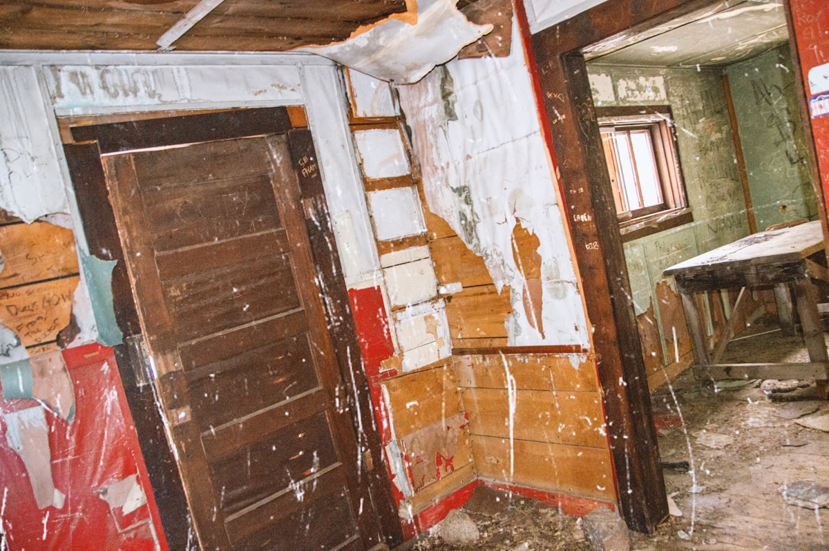 Flood Cleanup service in Sammamish, WA