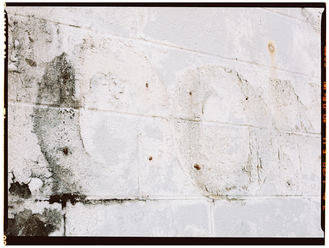 Water Extraction service in Sammamish, WA