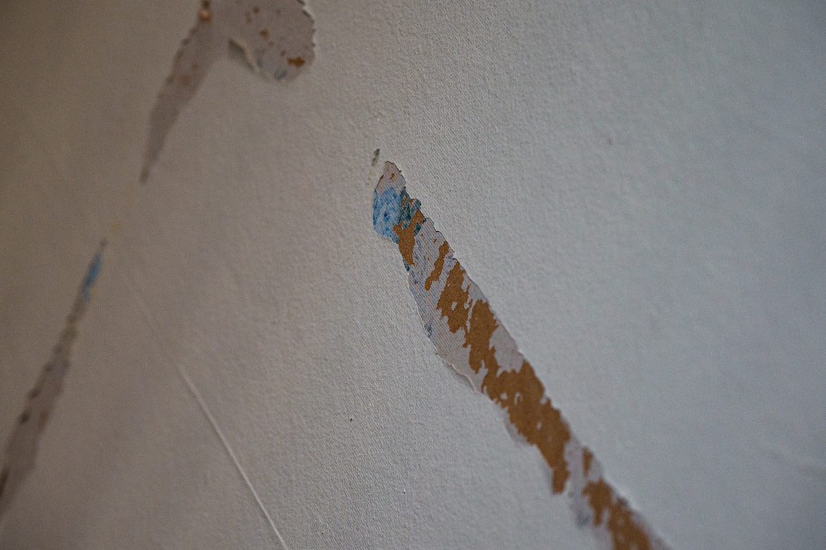 Basement Water Removal service in Sammamish, WA