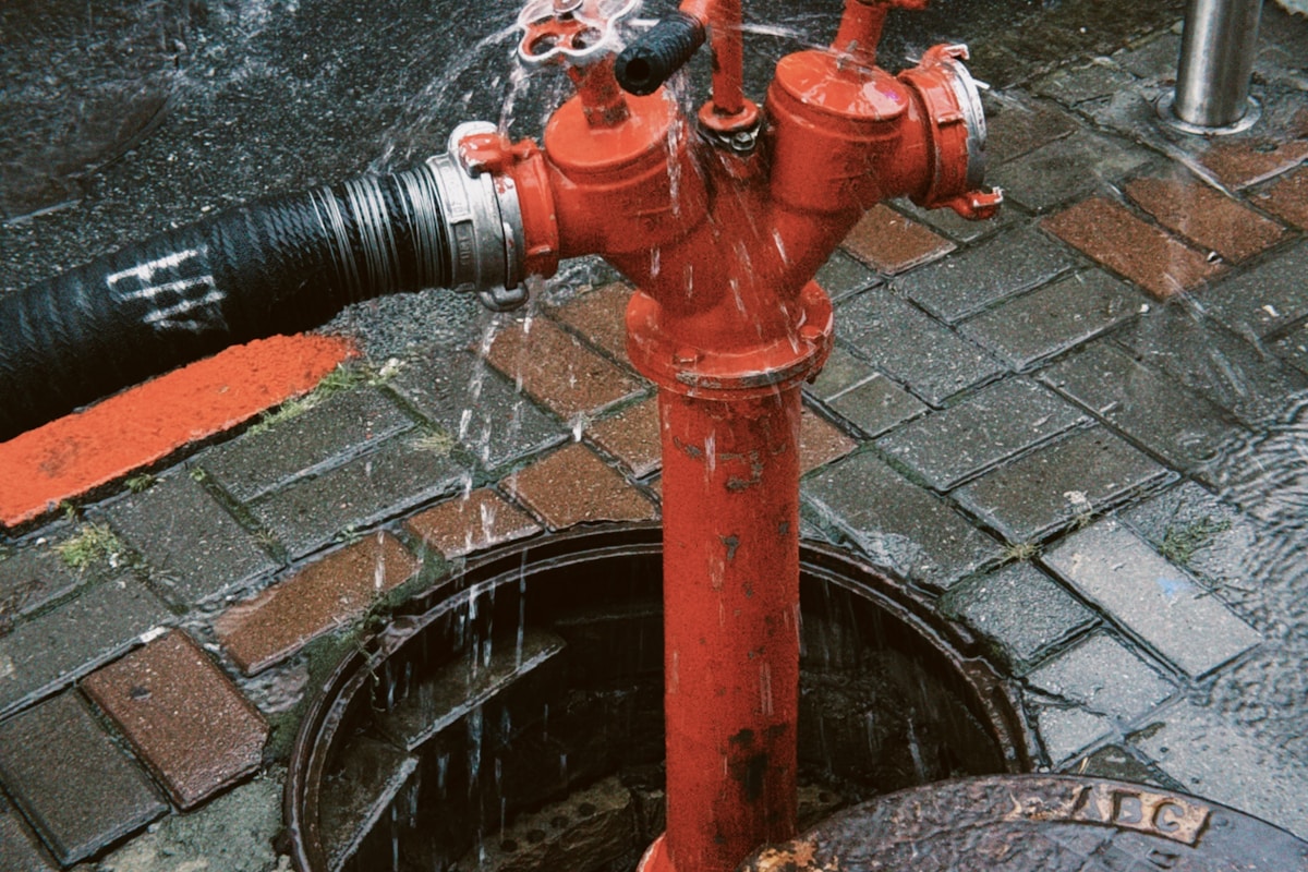 Flood Cleanup service in Sammamish, WA